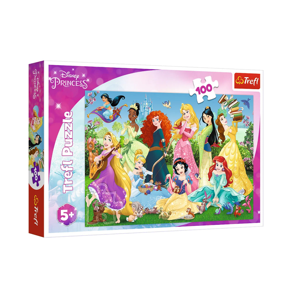 Charming Princesses (100 brikker)