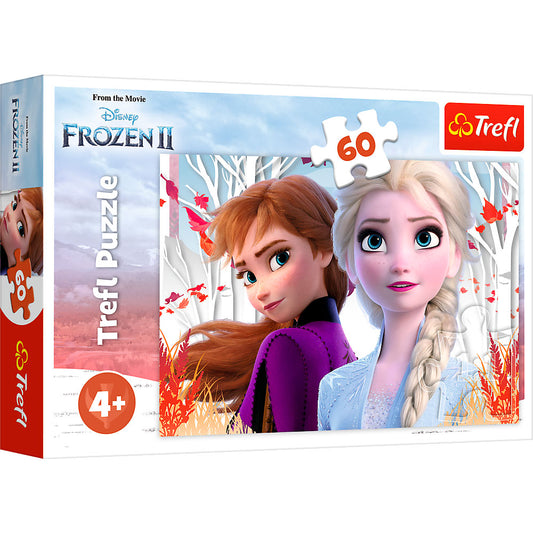 Frozen - The Enchanted World of Anna and Elsa (60 brikker)